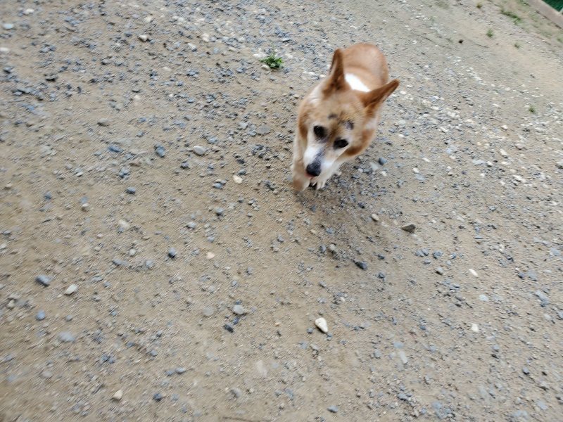 f:id:roukenhome-ann:20190917065122j:plain