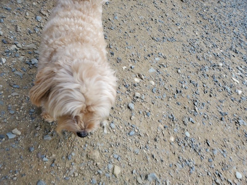 f:id:roukenhome-ann:20190917065128j:plain