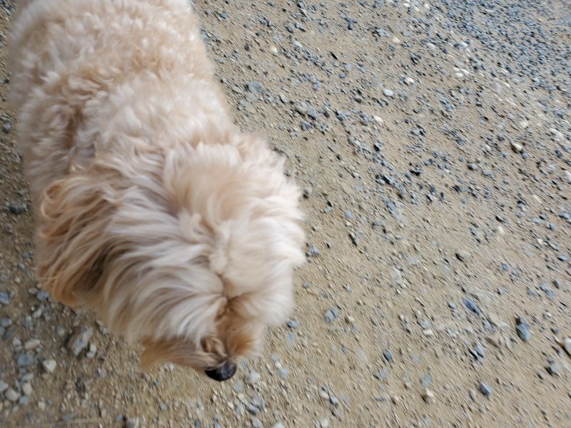 f:id:roukenhome-ann:20190917065133j:plain