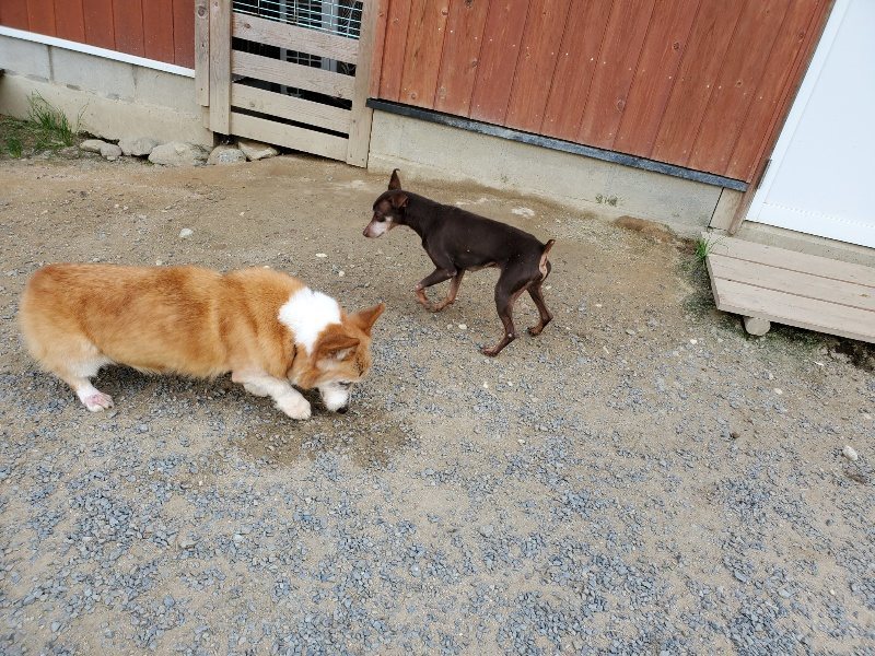 f:id:roukenhome-ann:20190917065241j:plain