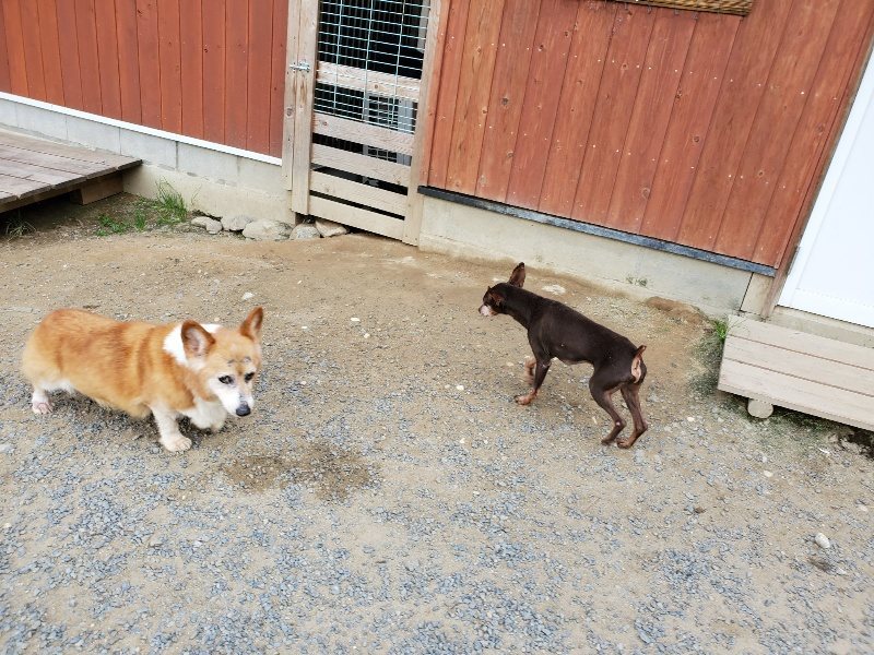f:id:roukenhome-ann:20190917065250j:plain