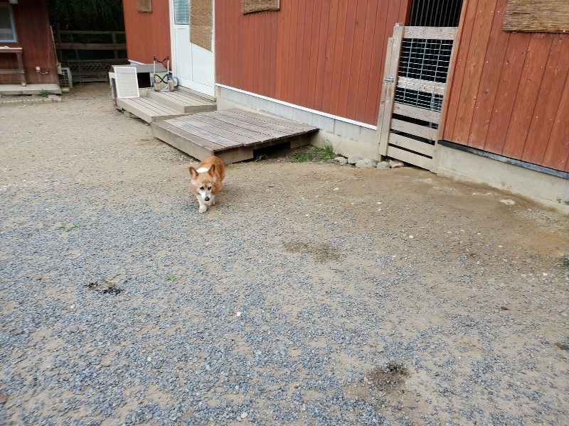f:id:roukenhome-ann:20190917065256j:plain