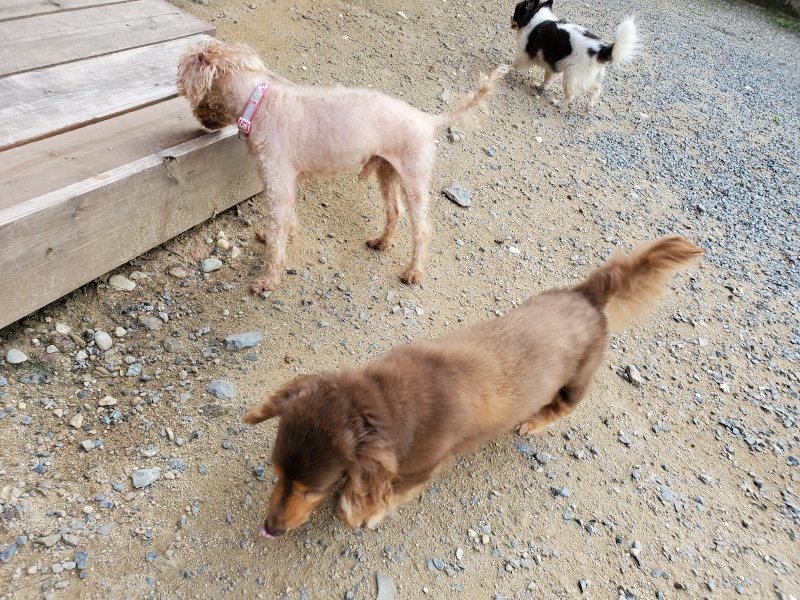 f:id:roukenhome-ann:20190917065301j:plain