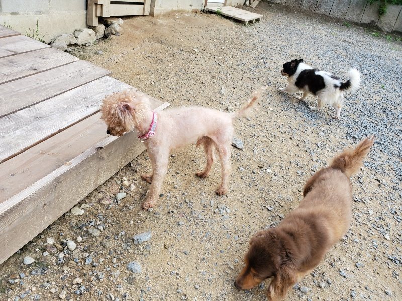 f:id:roukenhome-ann:20190917065313j:plain