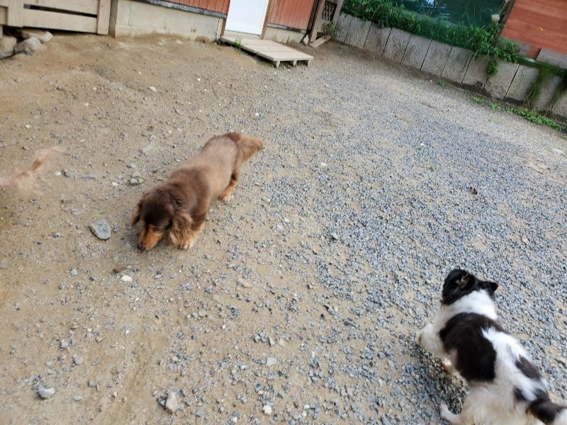f:id:roukenhome-ann:20190917065320j:plain