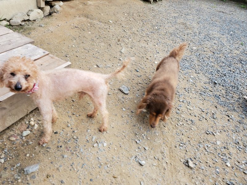 f:id:roukenhome-ann:20190917065333j:plain
