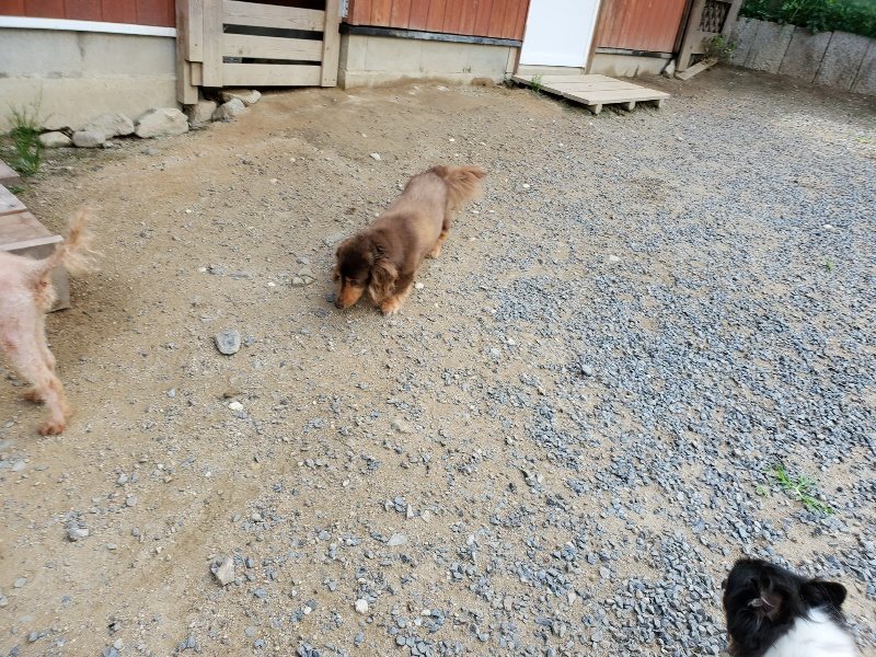 f:id:roukenhome-ann:20190917065339j:plain
