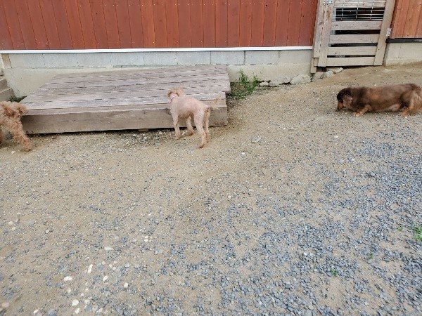 f:id:roukenhome-ann:20190917065343j:plain