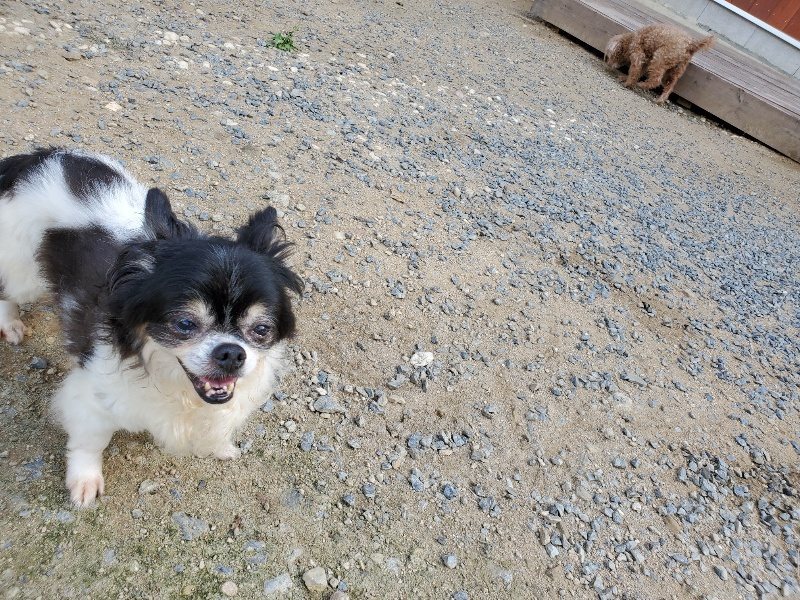 f:id:roukenhome-ann:20190917065354j:plain