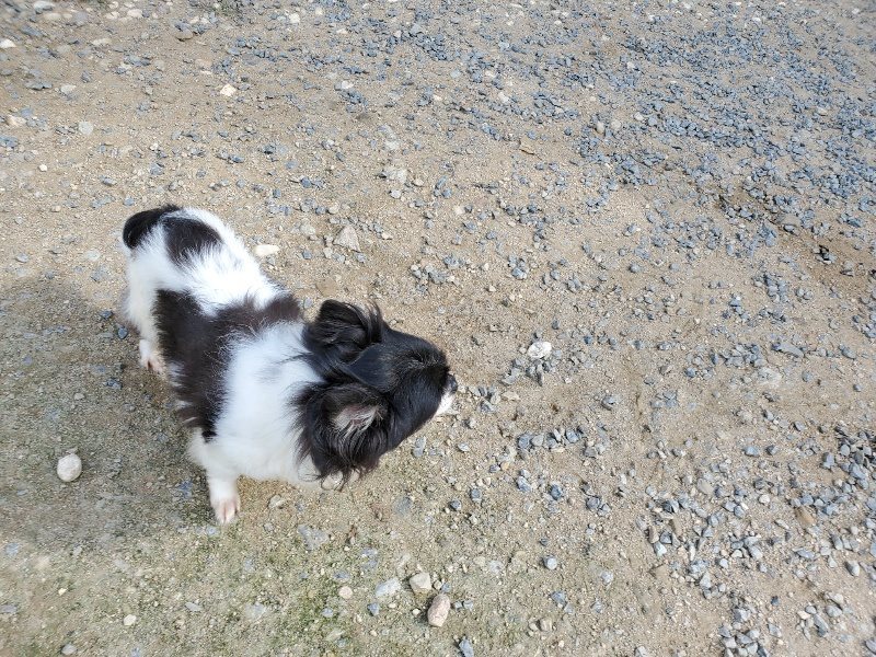 f:id:roukenhome-ann:20190917065402j:plain