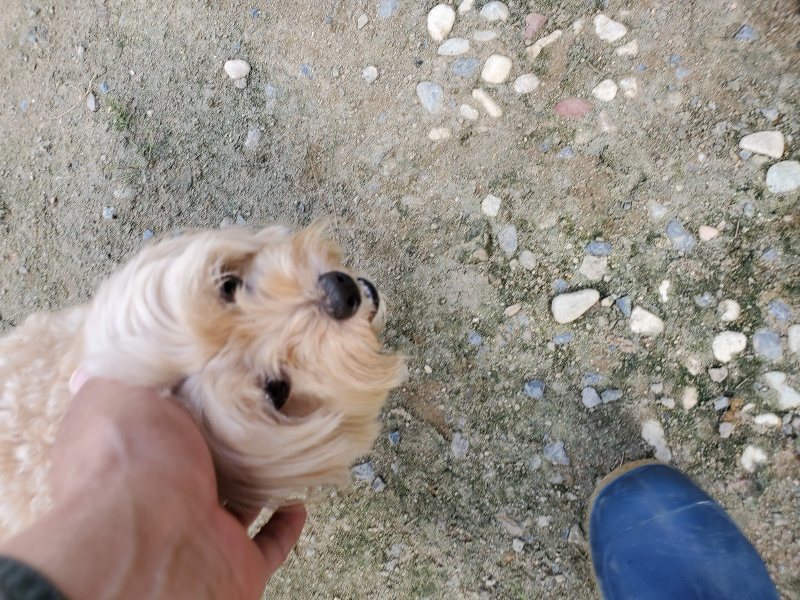 f:id:roukenhome-ann:20190917065437j:plain