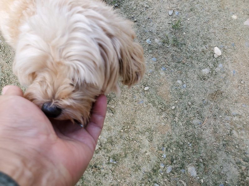 f:id:roukenhome-ann:20190917065454j:plain