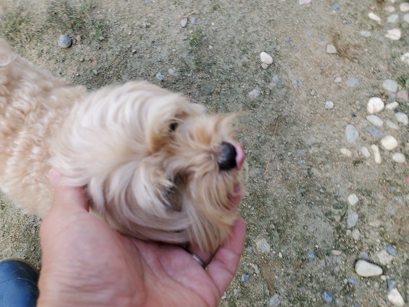 f:id:roukenhome-ann:20190917065510j:plain