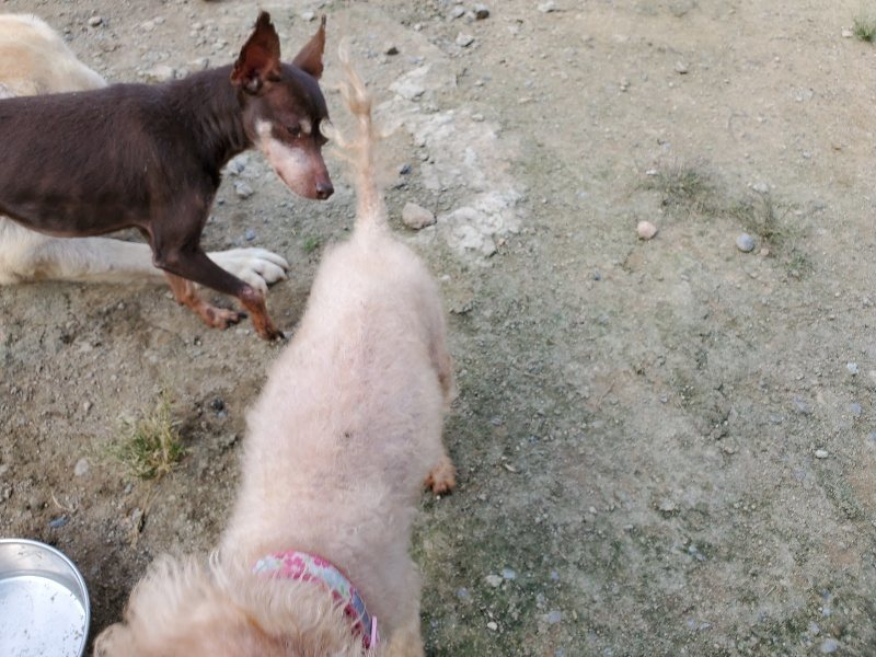 f:id:roukenhome-ann:20190917065616j:plain