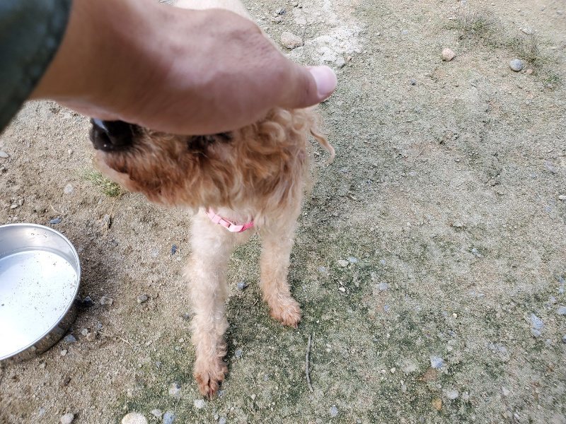 f:id:roukenhome-ann:20190917065628j:plain