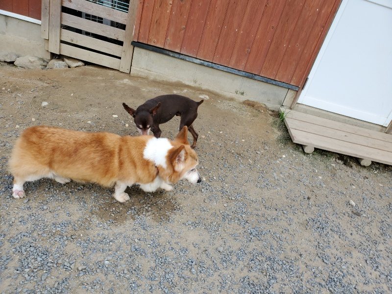 f:id:roukenhome-ann:20190917065644j:plain