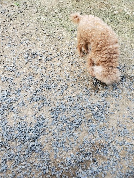 f:id:roukenhome-ann:20190917065649j:plain