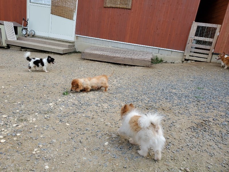 f:id:roukenhome-ann:20190917065838j:plain