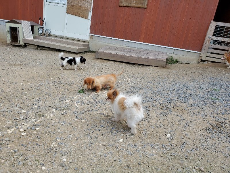 f:id:roukenhome-ann:20190917065844j:plain