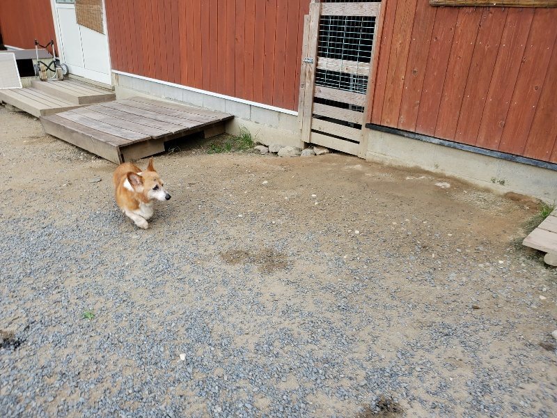 f:id:roukenhome-ann:20190917065850j:plain