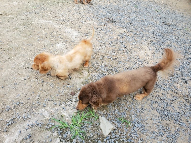 f:id:roukenhome-ann:20190917065855j:plain