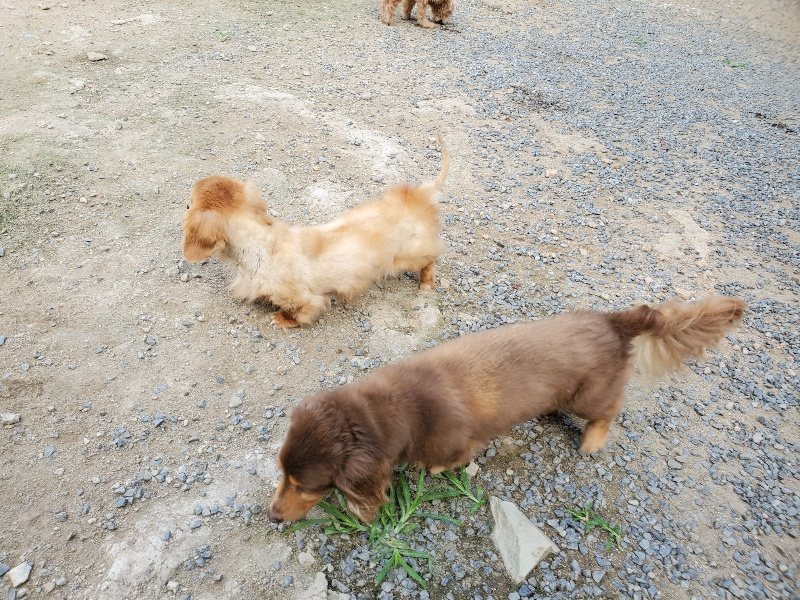 f:id:roukenhome-ann:20190917065901j:plain