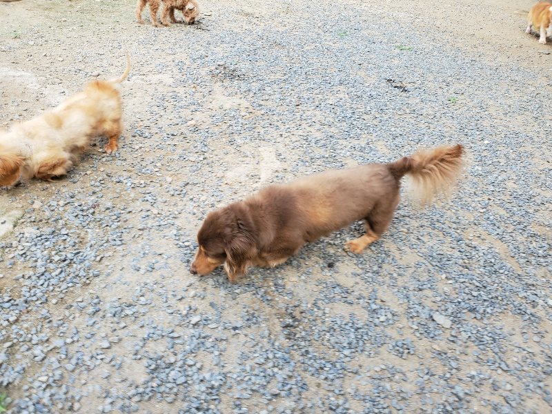 f:id:roukenhome-ann:20190917065907j:plain