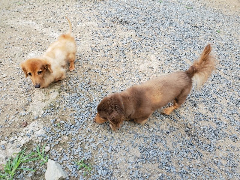 f:id:roukenhome-ann:20190917065919j:plain