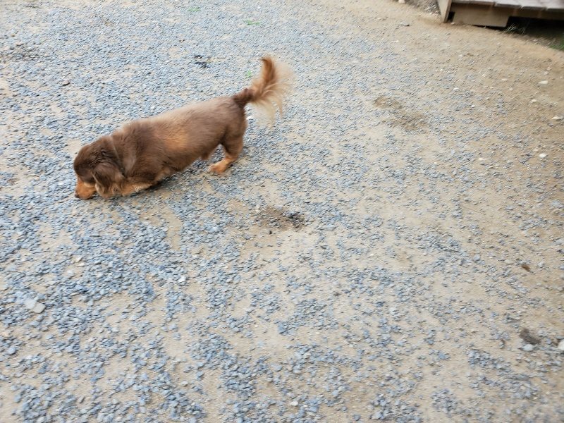 f:id:roukenhome-ann:20190917065924j:plain