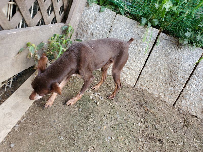 f:id:roukenhome-ann:20190917065929j:plain
