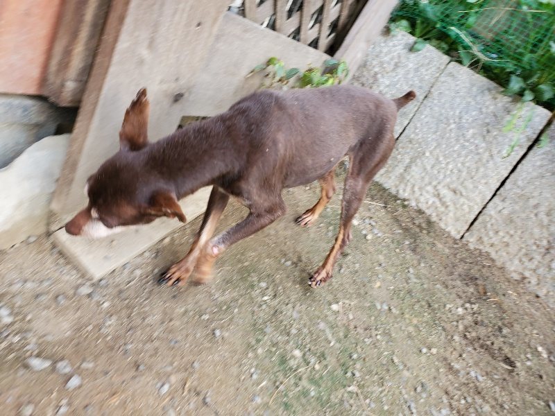 f:id:roukenhome-ann:20190917065934j:plain