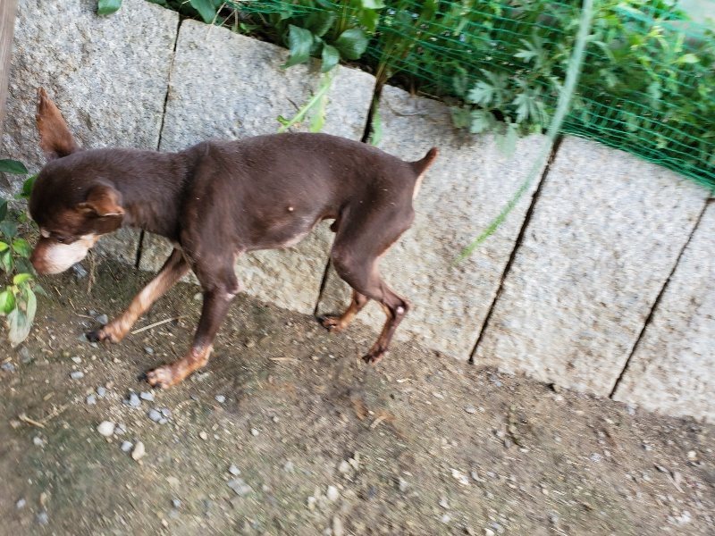 f:id:roukenhome-ann:20190917065945j:plain