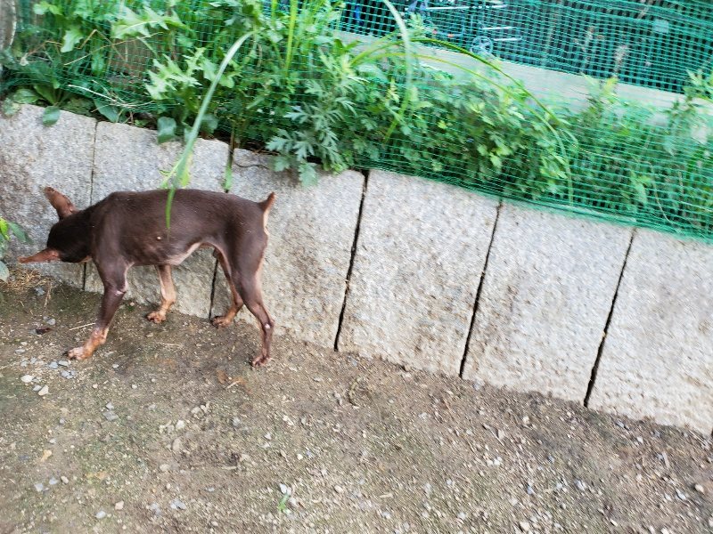 f:id:roukenhome-ann:20190917065952j:plain