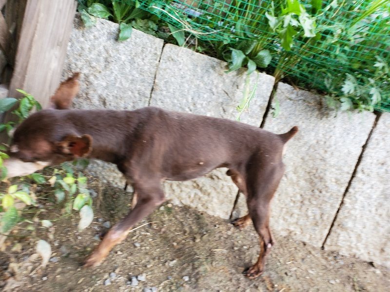 f:id:roukenhome-ann:20190917065958j:plain