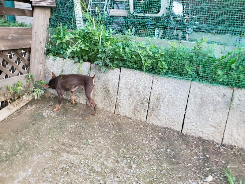 f:id:roukenhome-ann:20190917070004j:plain