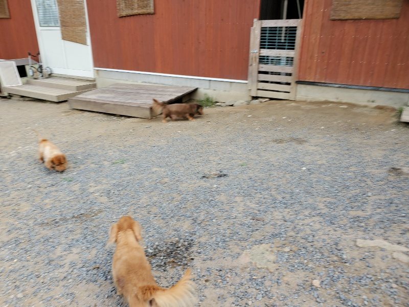 f:id:roukenhome-ann:20190917070010j:plain