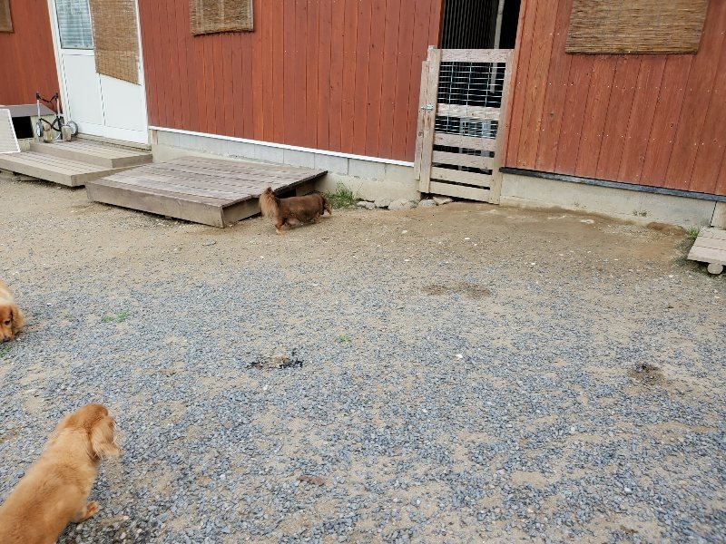 f:id:roukenhome-ann:20190917070015j:plain