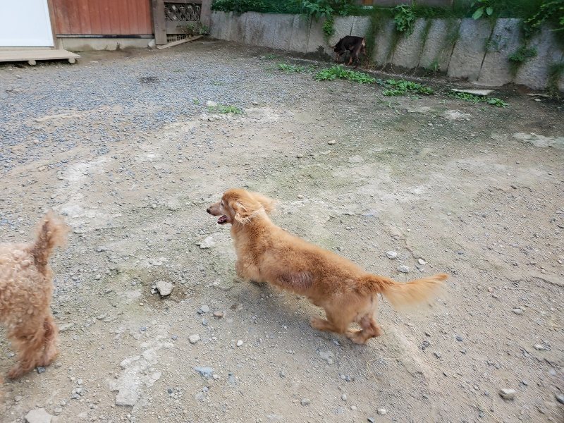 f:id:roukenhome-ann:20190917070021j:plain