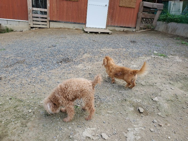 f:id:roukenhome-ann:20190917070027j:plain