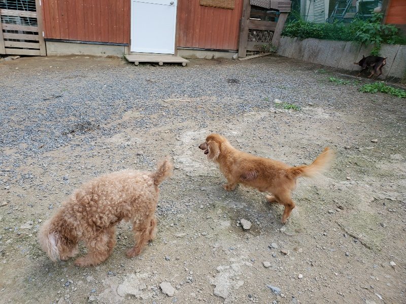 f:id:roukenhome-ann:20190917070033j:plain
