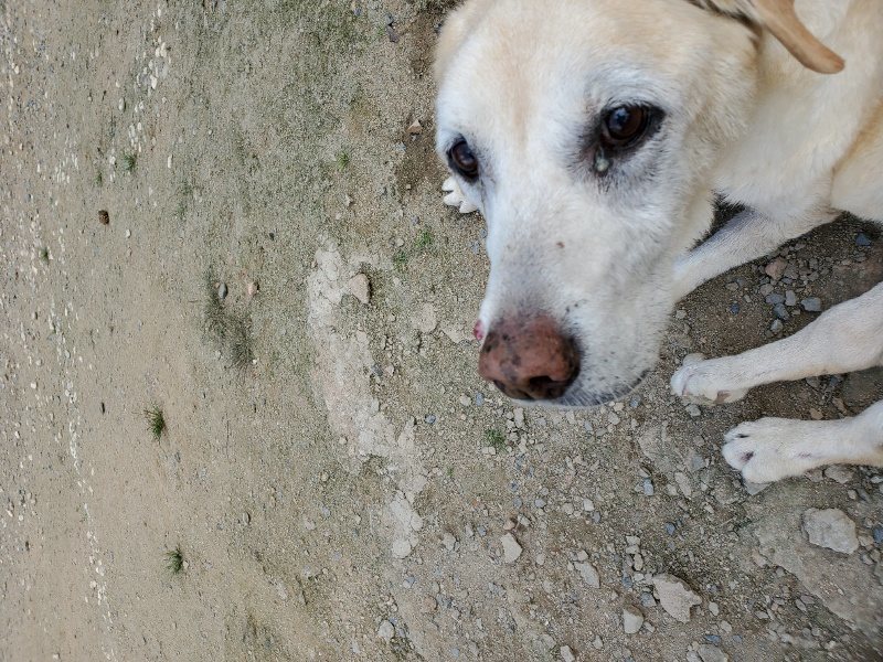 f:id:roukenhome-ann:20190917070042j:plain