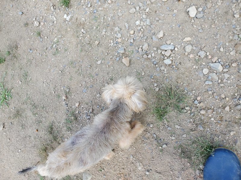 f:id:roukenhome-ann:20190917070056j:plain