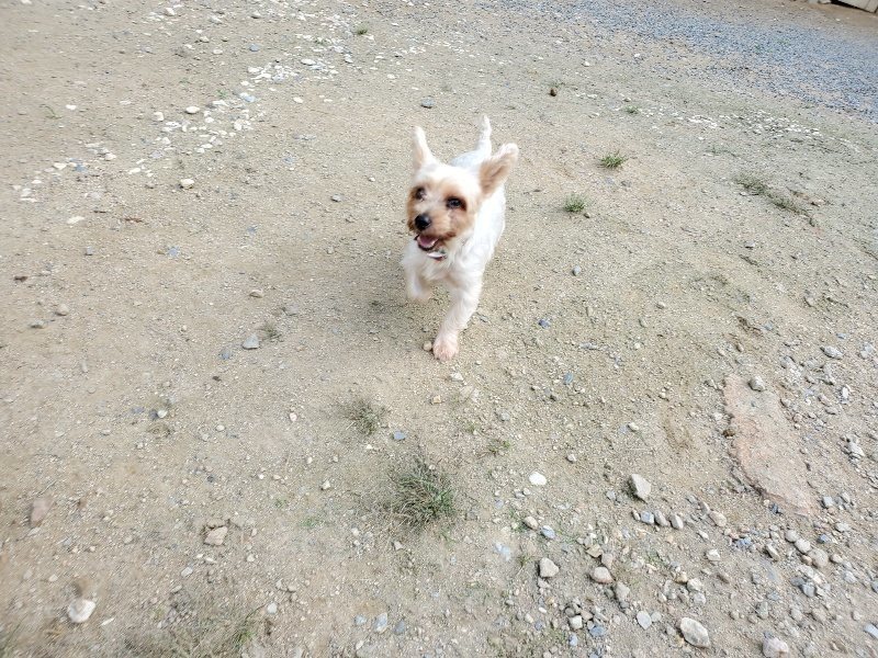 f:id:roukenhome-ann:20190917070106j:plain
