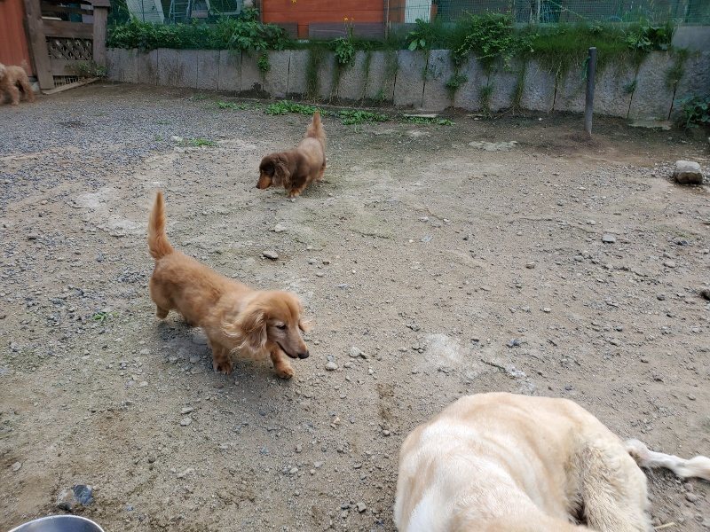 f:id:roukenhome-ann:20190917070141j:plain