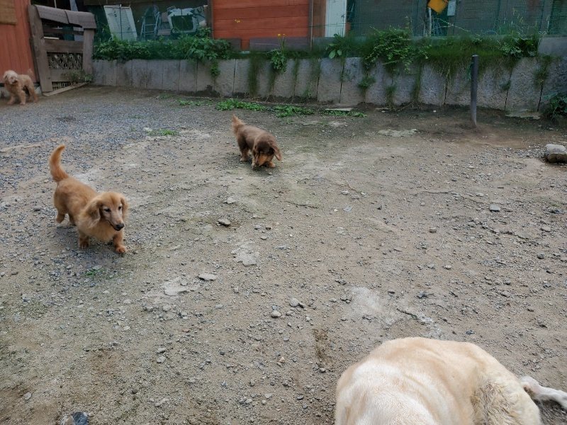 f:id:roukenhome-ann:20190917070147j:plain