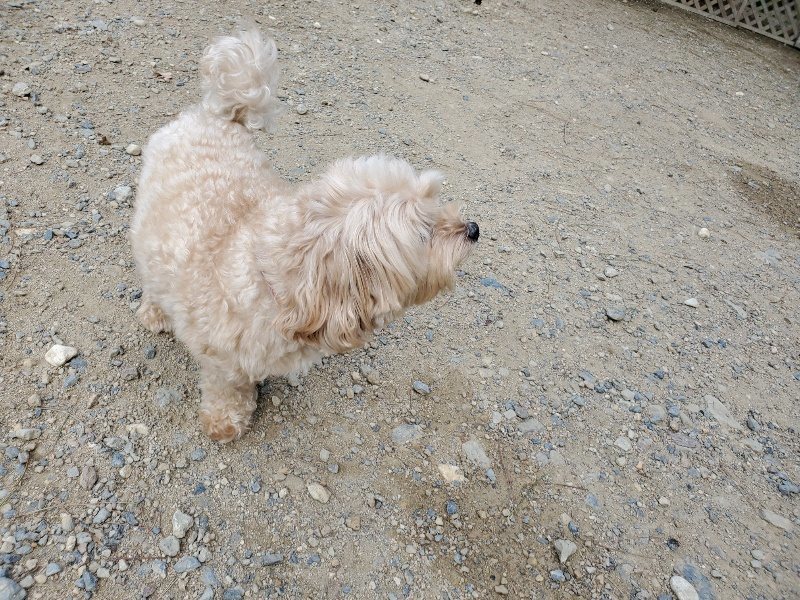 f:id:roukenhome-ann:20190917070513j:plain