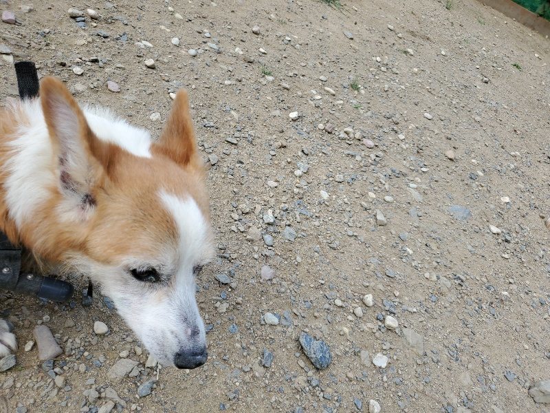 f:id:roukenhome-ann:20190917070520j:plain