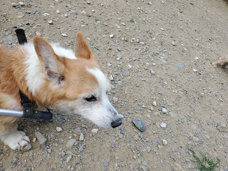 f:id:roukenhome-ann:20190917070533j:plain