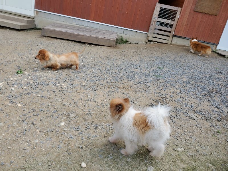 f:id:roukenhome-ann:20190917070538j:plain