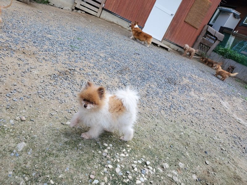 f:id:roukenhome-ann:20190917070544j:plain